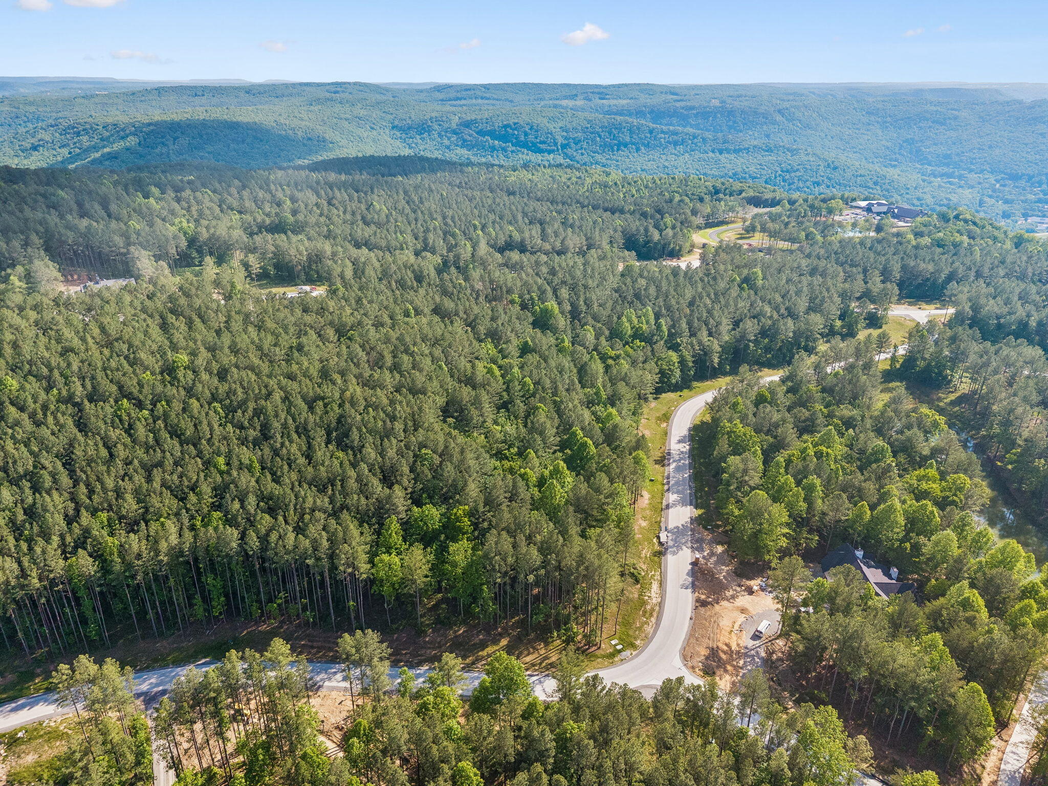 1109 Birds Eye Way Guild, TN 37340 - Photo 2 of 24 16-10213 TN-156 Lot #1109 Guild - 016