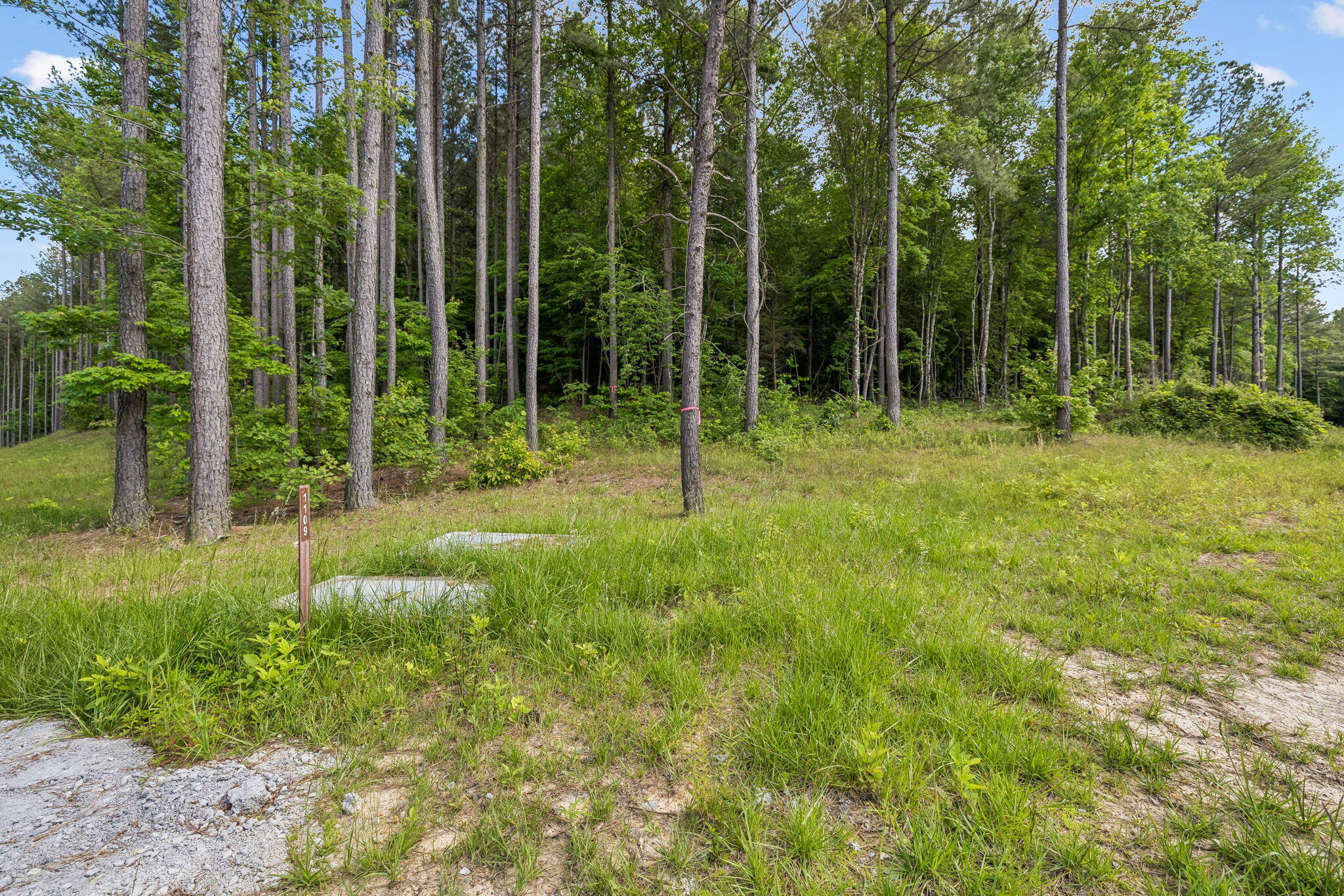 1109 Birds Eye Way Guild, TN 37340 - Photo 4 of 24 11-10213 TN-156 Lot #1109 Guild - 011