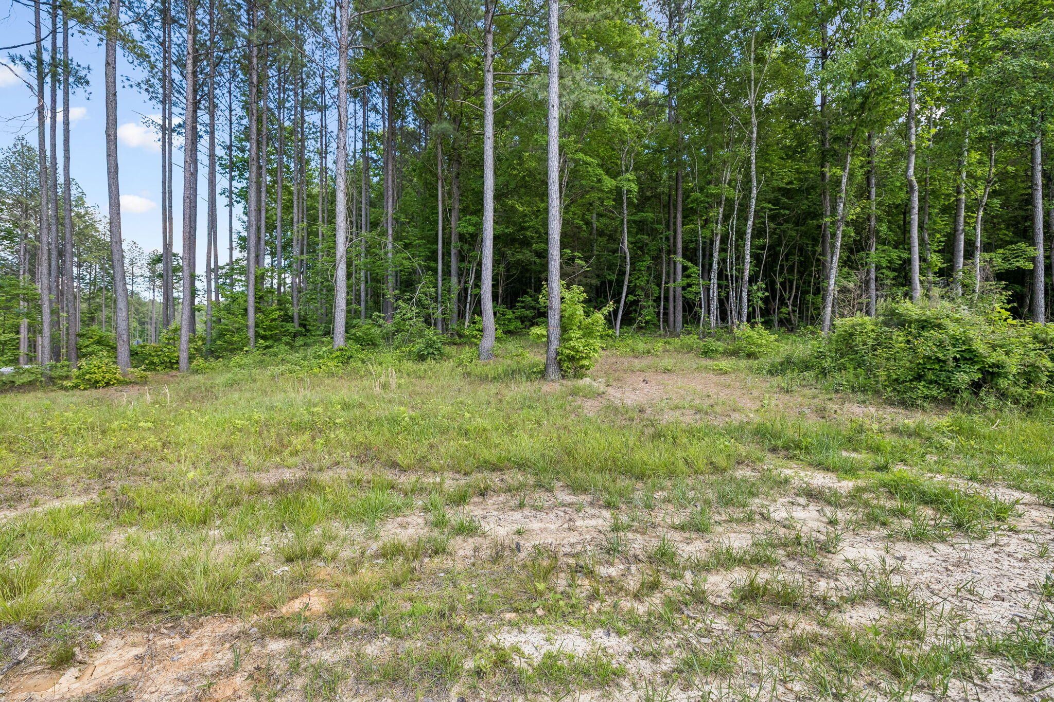 1109 Birds Eye Way Guild, TN 37340 - Photo 5 of 24 12-10213 TN-156 Lot #1109 Guild - 012