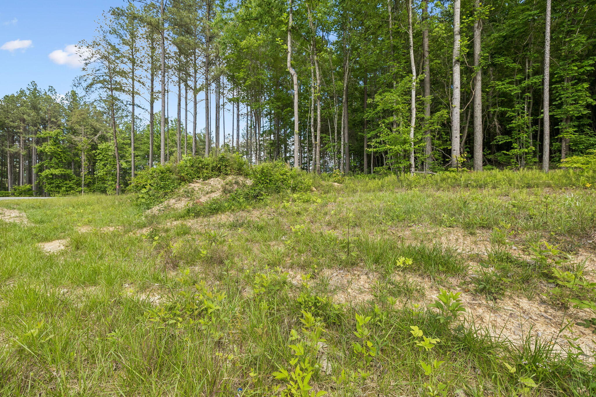 1109 Birds Eye Way Guild, TN 37340 - Photo 6 of 24 13-10213 TN-156 Lot #1109 Guild - 013