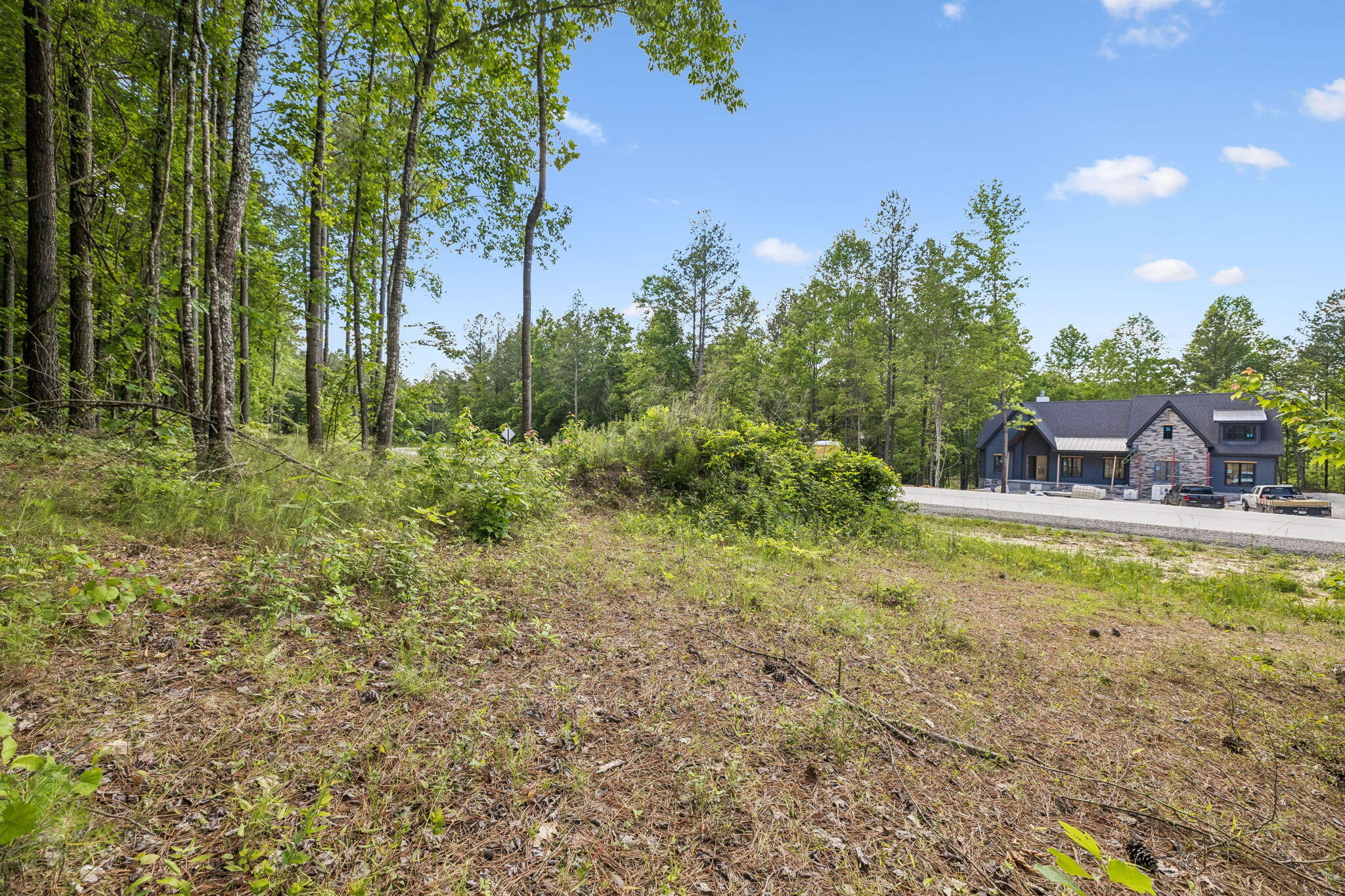 1109 Birds Eye Way Guild, TN 37340 - Photo 7 of 24 14-10213 TN-156 Lot #1109 Guild - 014