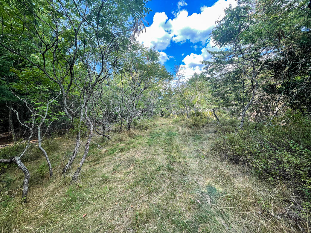 526 Bryant Road Hermon, ME 04401 - Photo 8 of 10 008