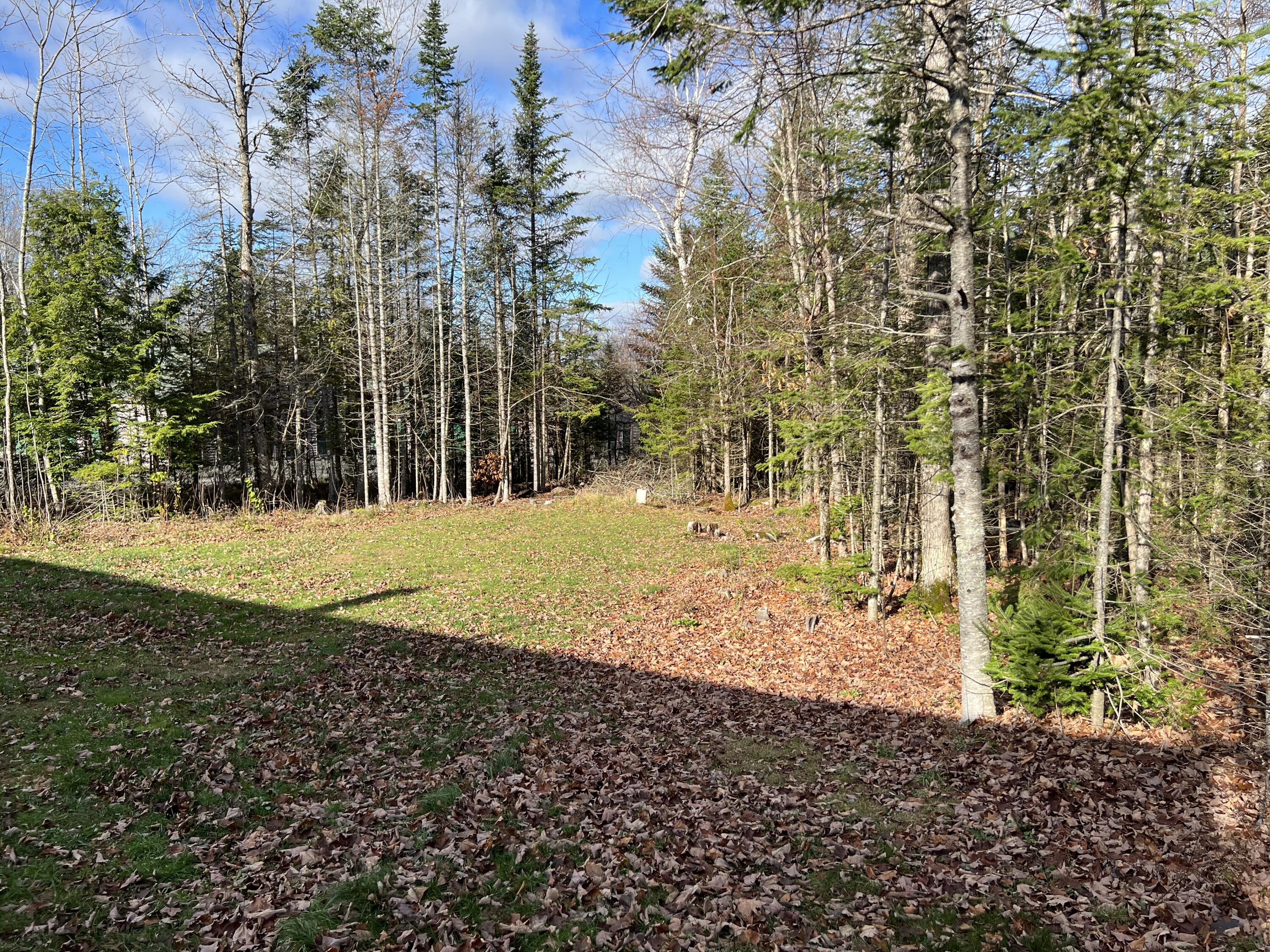 125 Phillips Road Glenburn, ME 04401 - Photo 7 of 36 IMG_7050
