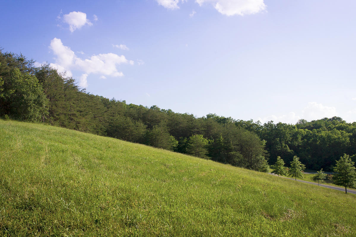 1049 Sprinkle Road Fincastle, VA 24090 - Photo 43 of 67 LowerFieldView