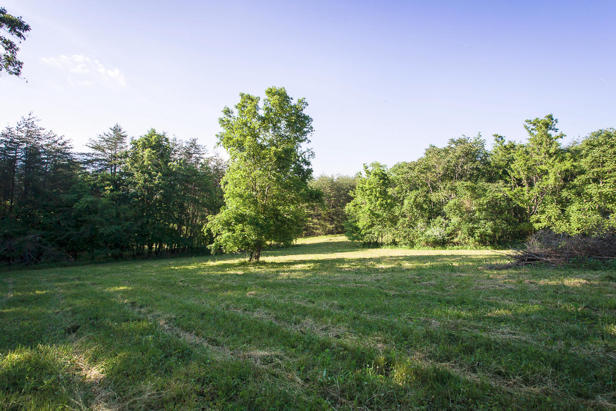1049 Sprinkle Road Fincastle, VA 24090 - Photo 44 of 67 BackFieldView