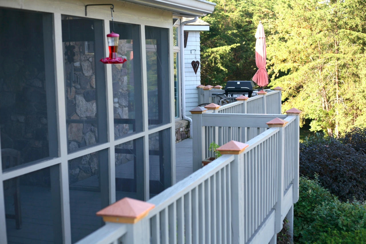 1049 Sprinkle Road Fincastle, VA 24090 - Photo 51 of 67 Deck3