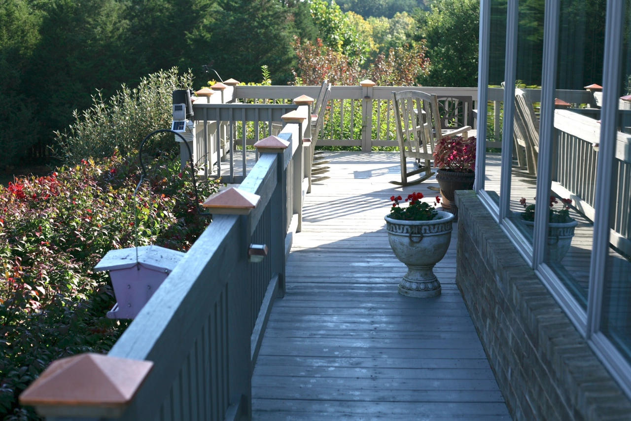 1049 Sprinkle Road Fincastle, VA 24090 - Photo 55 of 67 Deck7