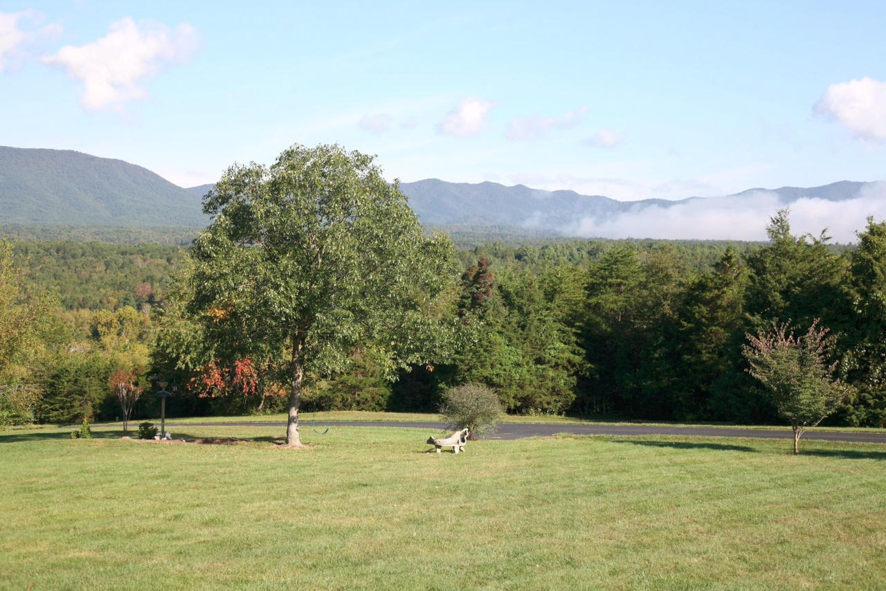 1049 Sprinkle Road Fincastle, VA 24090 - Photo 57 of 67 View From Deck