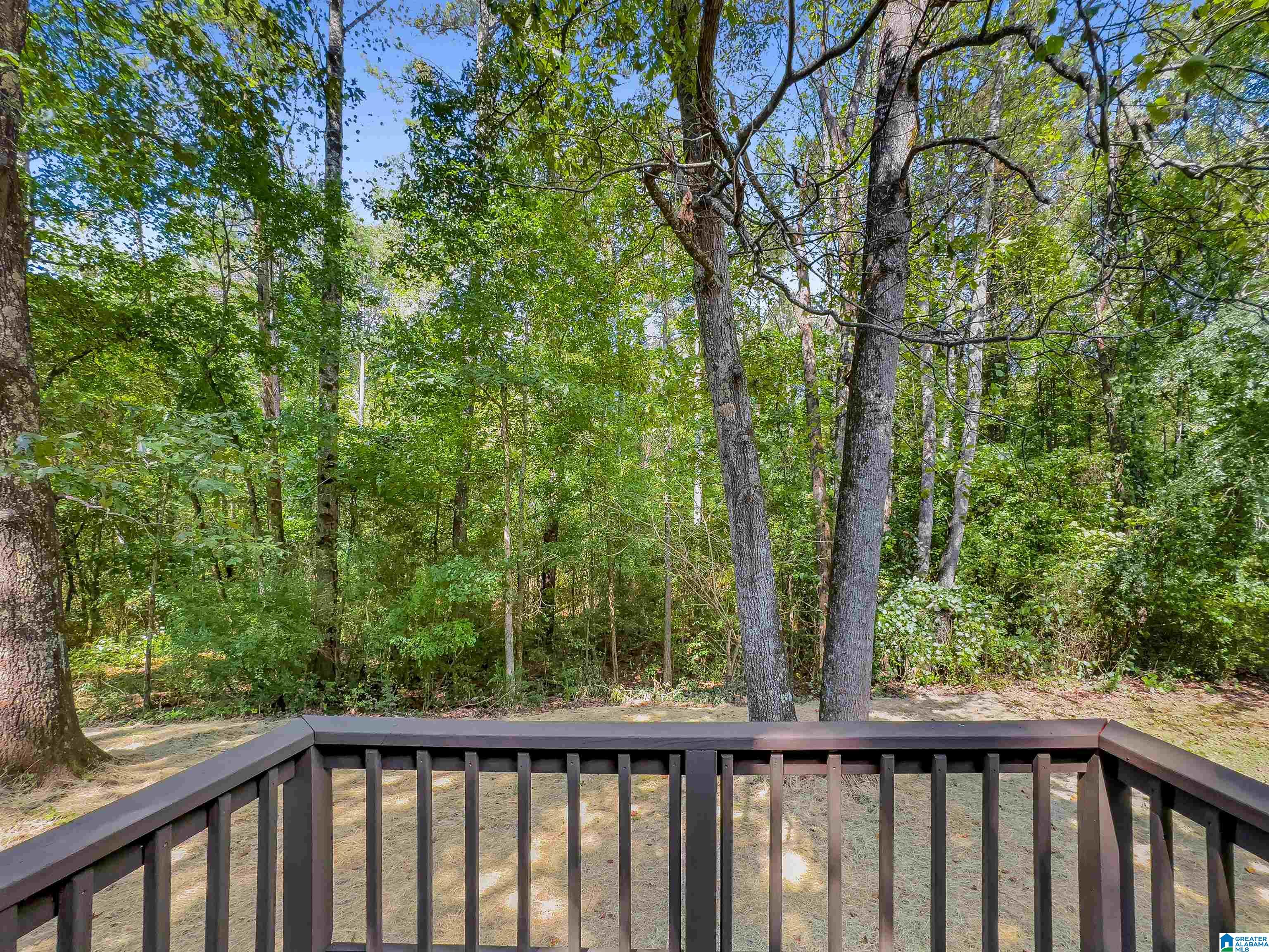 1711 Champion Road Oneonta, AL 35121 - Photo 12 of 27