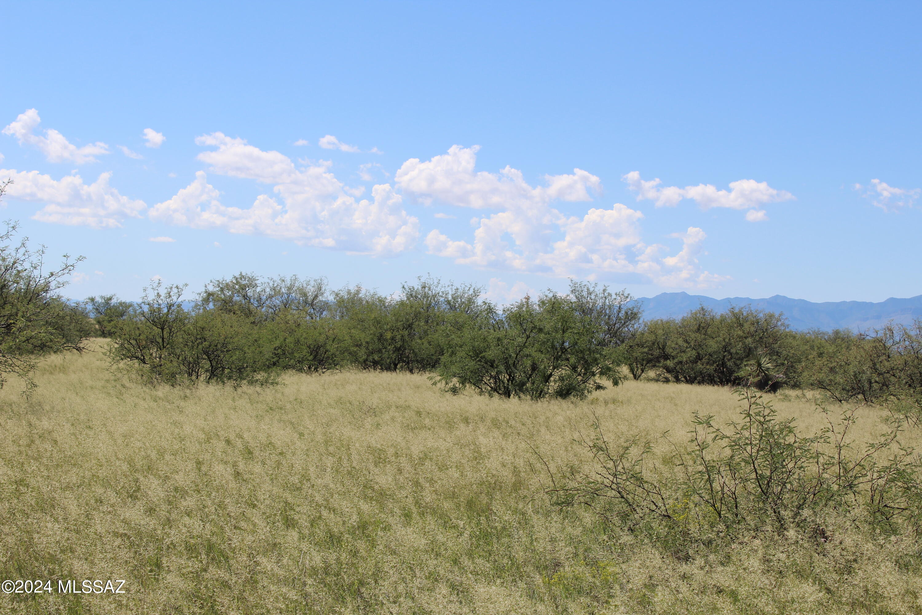 Tbd East Naiche Road, Unit 56 St. David, AZ 85630 - Photo 16 of 17