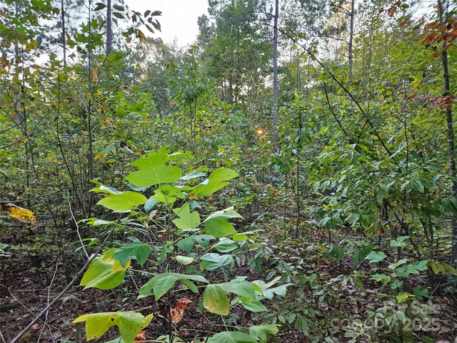 $79,900 | 0 Thermal City Road, Unit 3, Union Mills, NC 28167