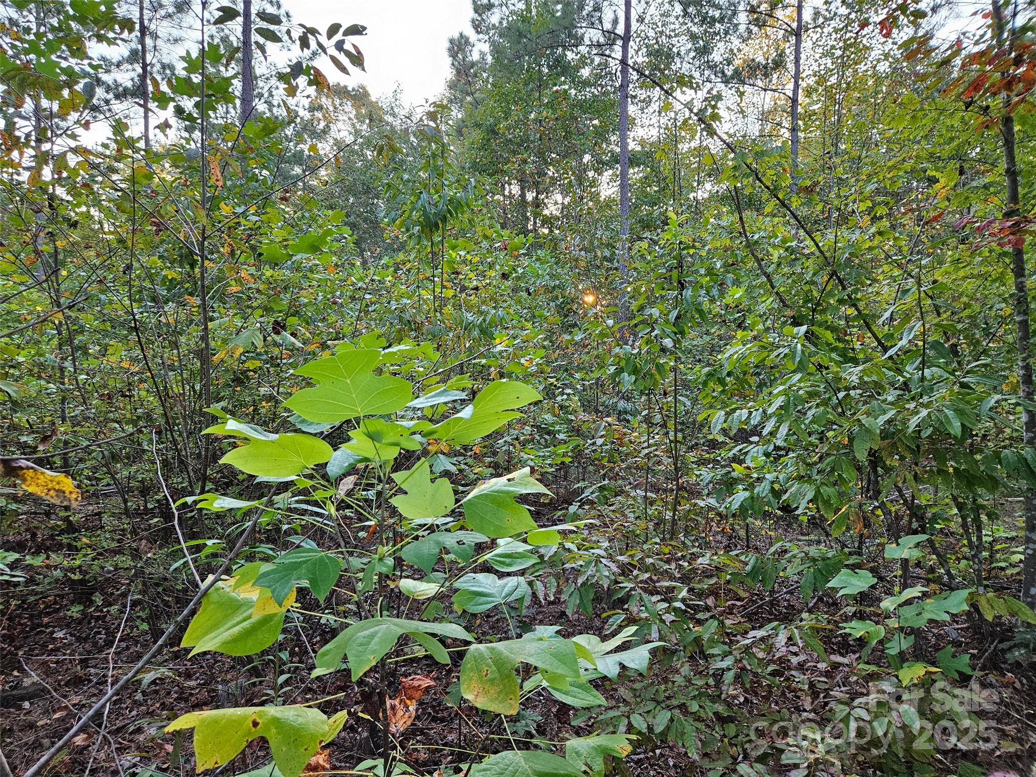 0 Thermal City Road, Unit 3 Union Mills, NC 28167 - Photo 11 of 15