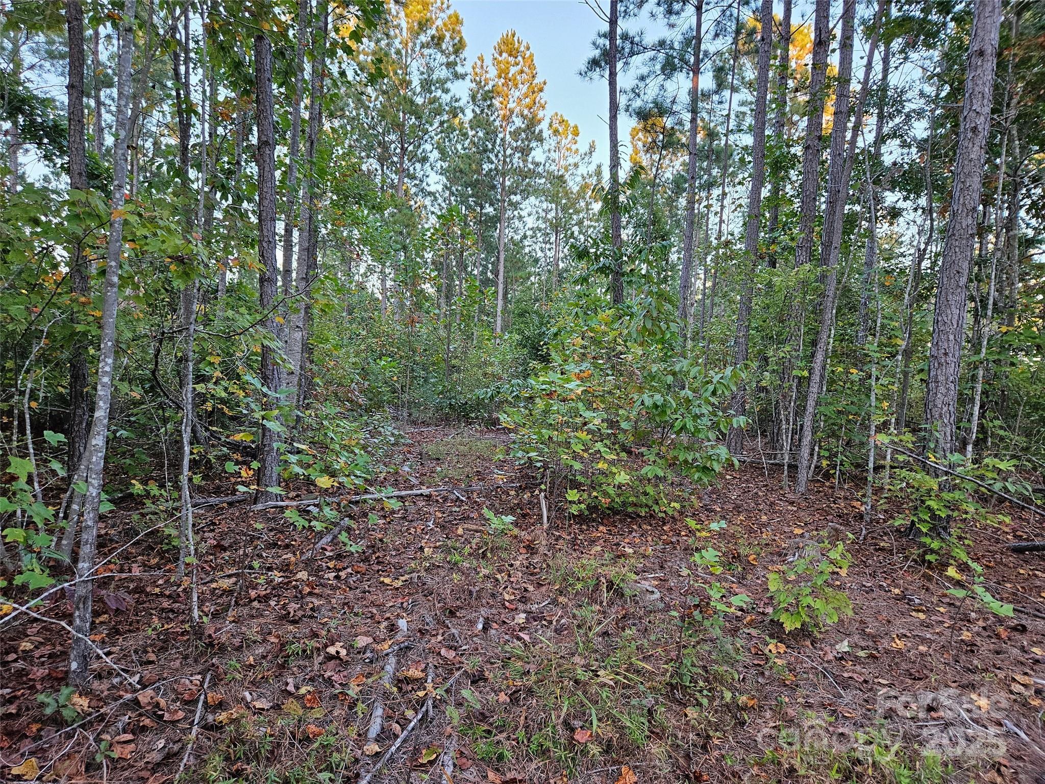 0 Thermal City Road, Unit 3 Union Mills, NC 28167 - Photo 12 of 15