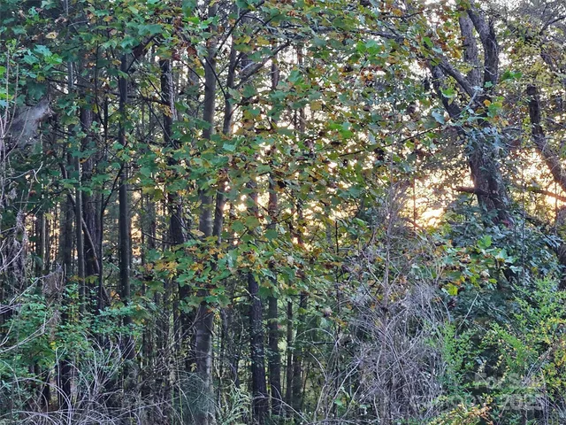 $79,900 | 0 Thermal City Road, Unit 3, Union Mills, NC 28167