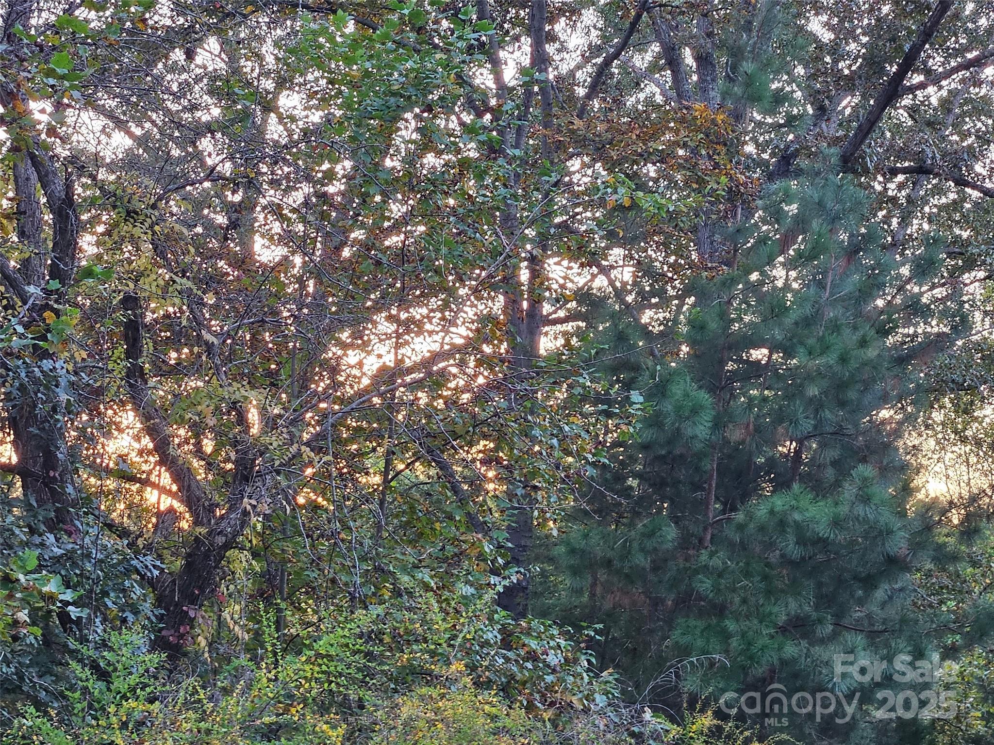 0 Thermal City Road, Unit 3 Union Mills, NC 28167 - Photo 14 of 15