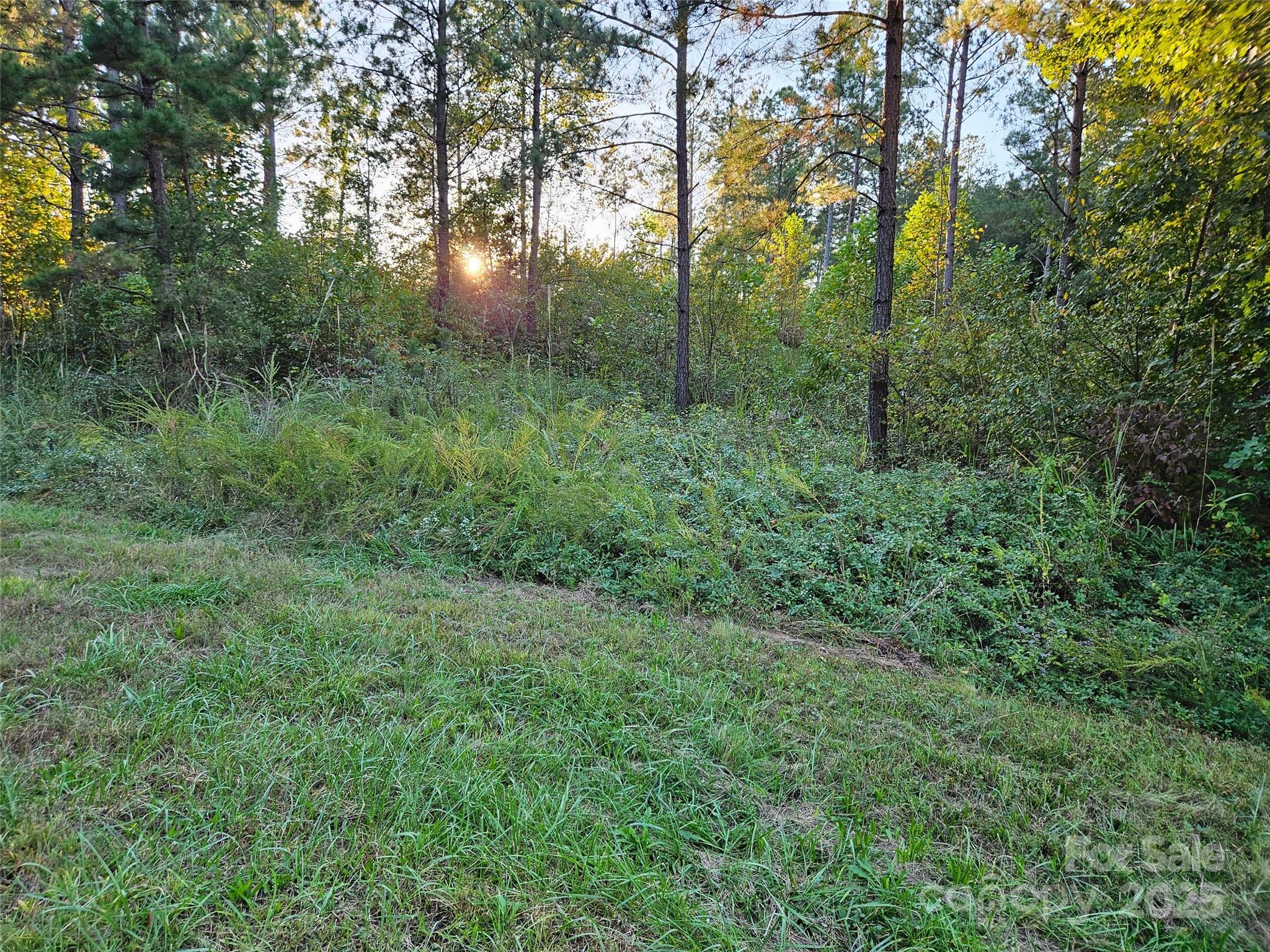 0 Thermal City Road, Unit 3 Union Mills, NC 28167 - Photo 2 of 15