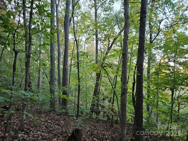 $79,900 | 0 Thermal City Road, Unit 3, Union Mills, NC 28167