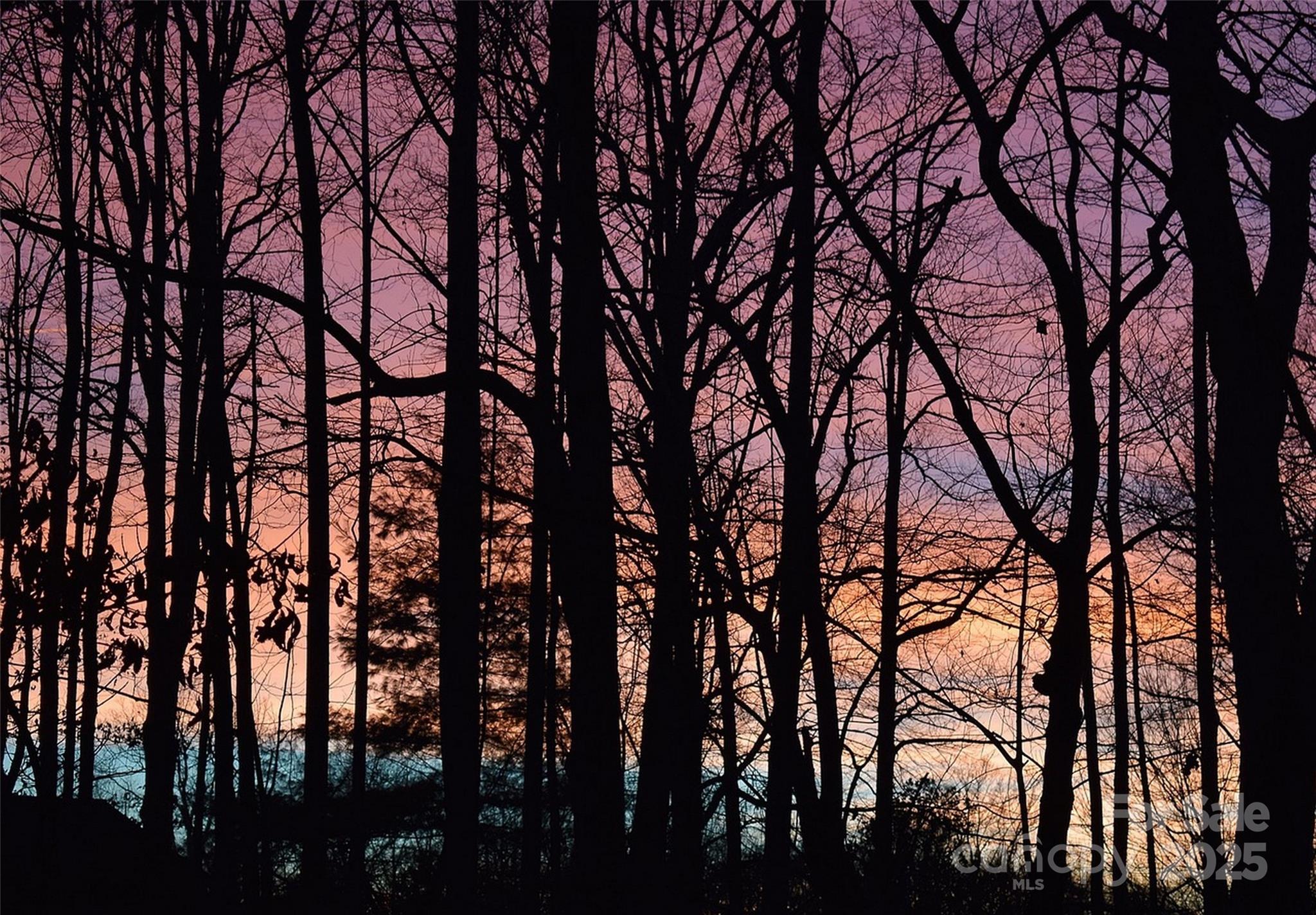 0 Thermal City Road, Unit 3 Union Mills, NC 28167 - Photo 5 of 15