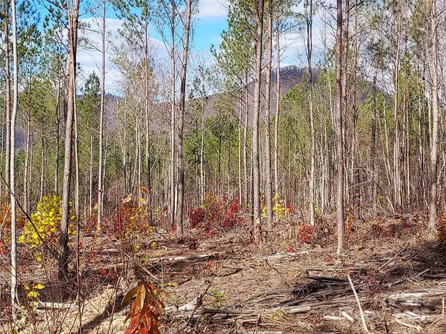 $79,900 | 0 Thermal City Road, Unit 3, Union Mills, NC 28167