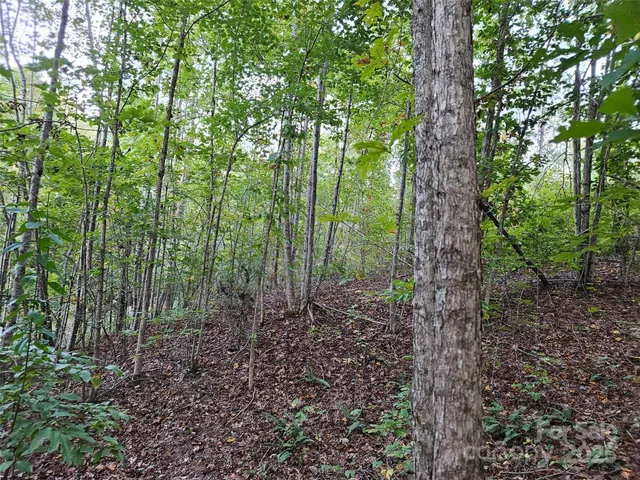 $79,900 | 0 Thermal City Road, Unit 3, Union Mills, NC 28167