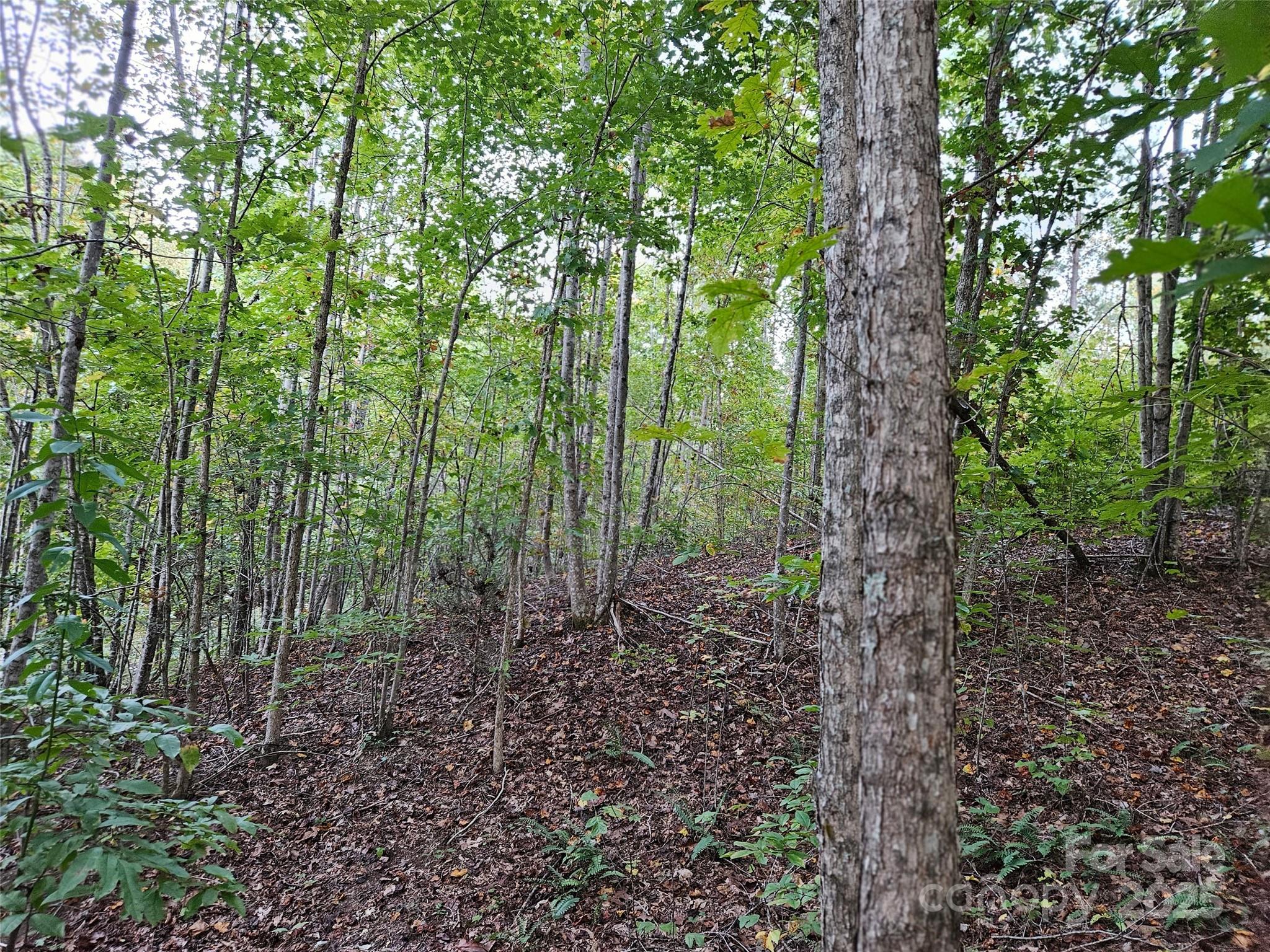 0 Thermal City Road, Unit 3 Union Mills, NC 28167 - Photo 7 of 15