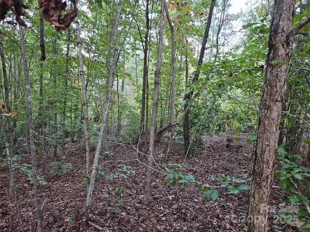 $79,900 | 0 Thermal City Road, Unit 3, Union Mills, NC 28167