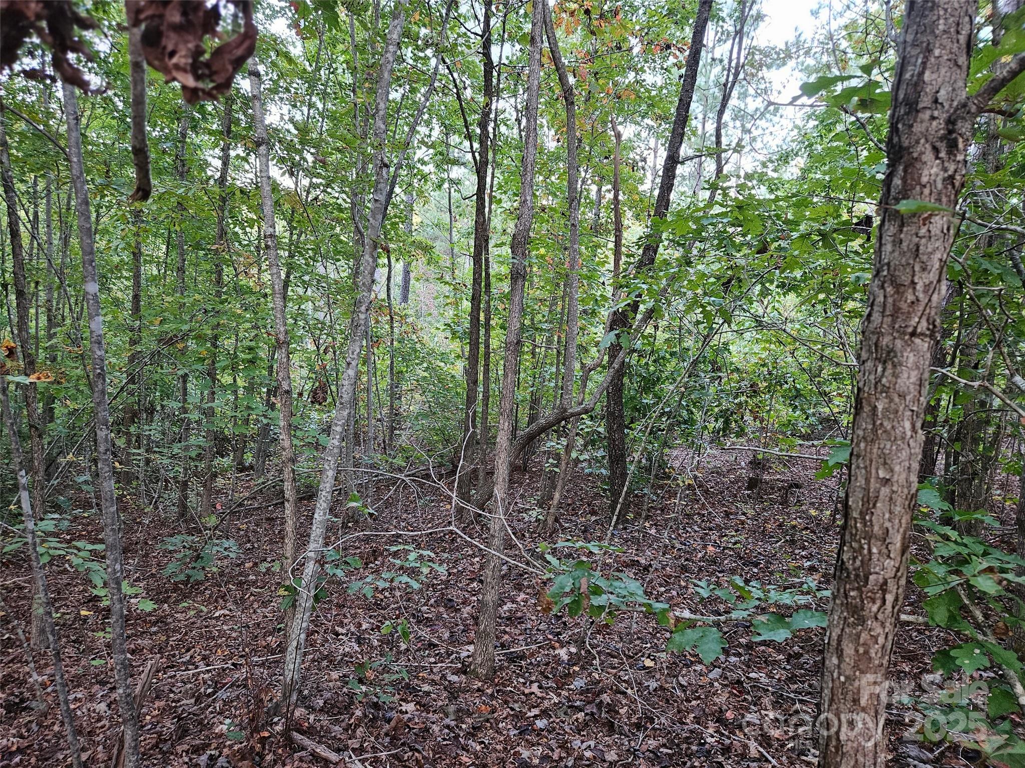 0 Thermal City Road, Unit 3 Union Mills, NC 28167 - Photo 8 of 15