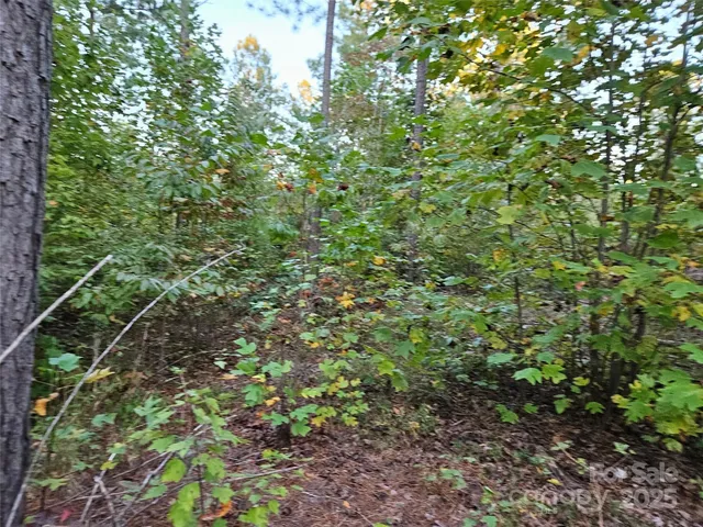 $79,900 | 0 Thermal City Road, Unit 3, Union Mills, NC 28167