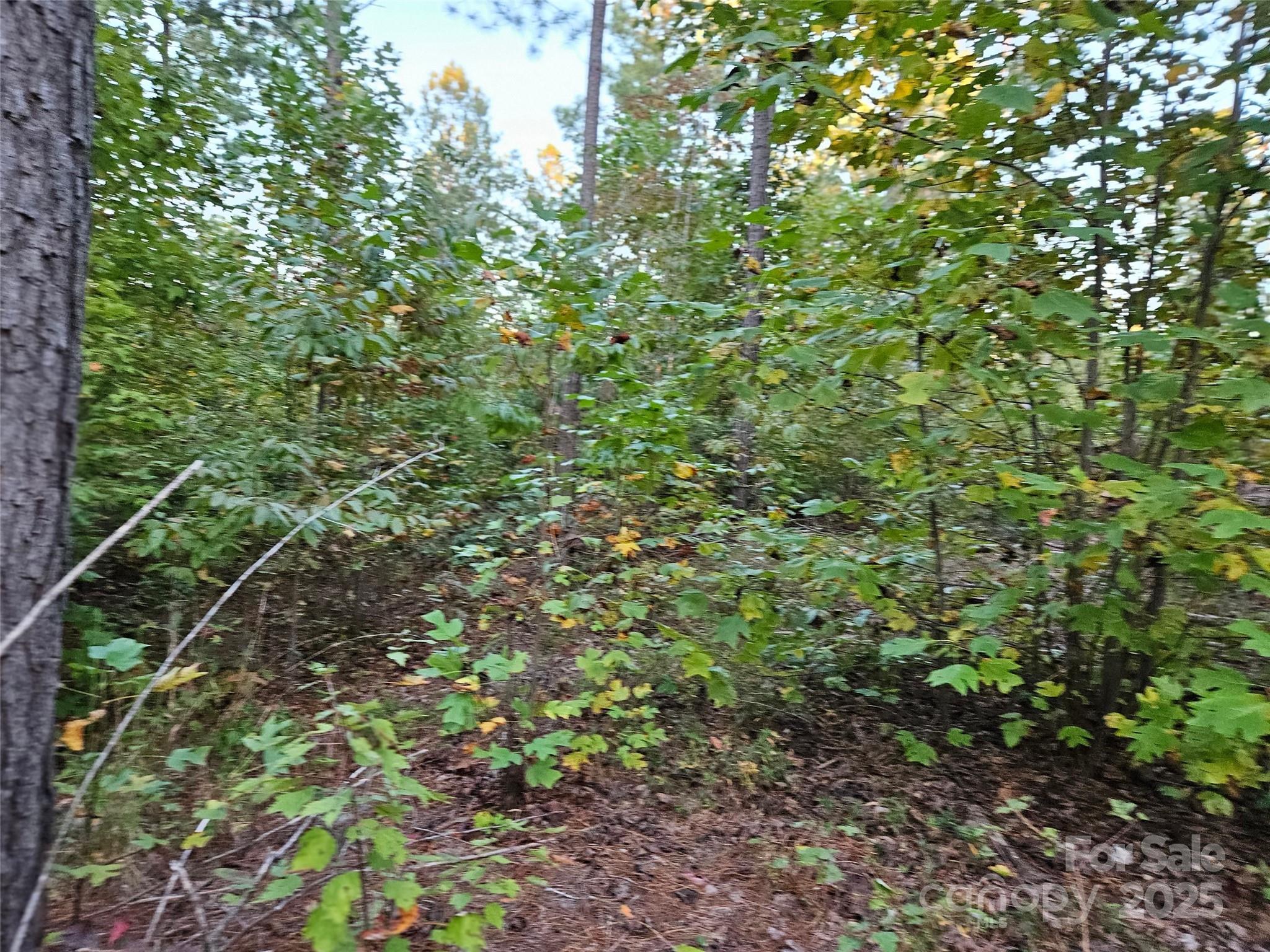 0 Thermal City Road, Unit 3 Union Mills, NC 28167 - Photo 9 of 15