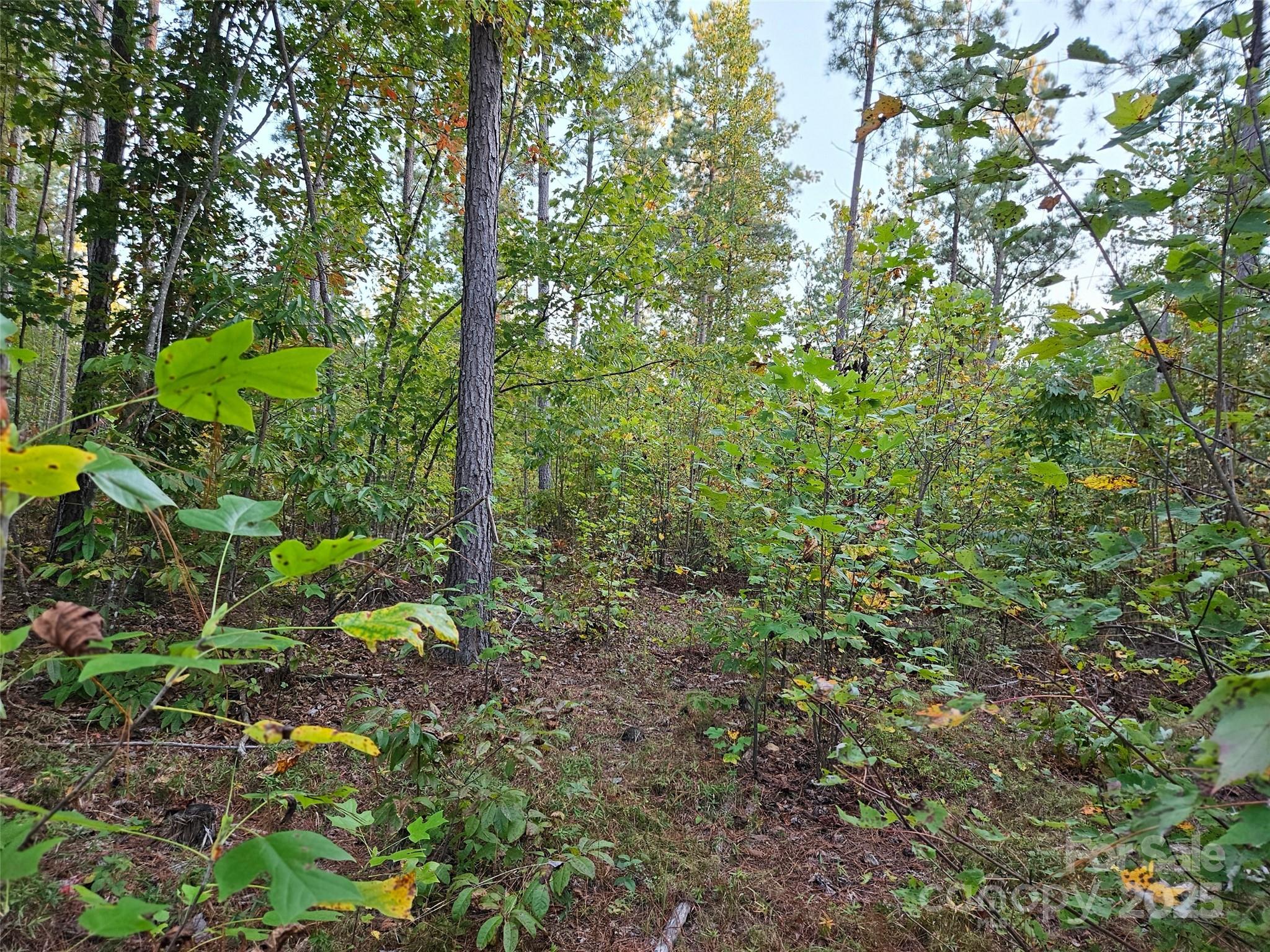 0 Thermal City Road, Unit 3 Union Mills, NC 28167 - Photo 10 of 15