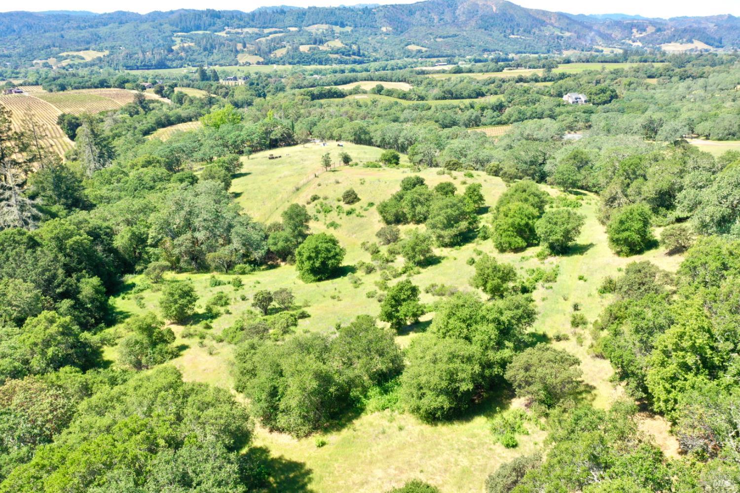 5143 Dry Creek Road Healdsburg, CA 95448 - Photo 73 of 85