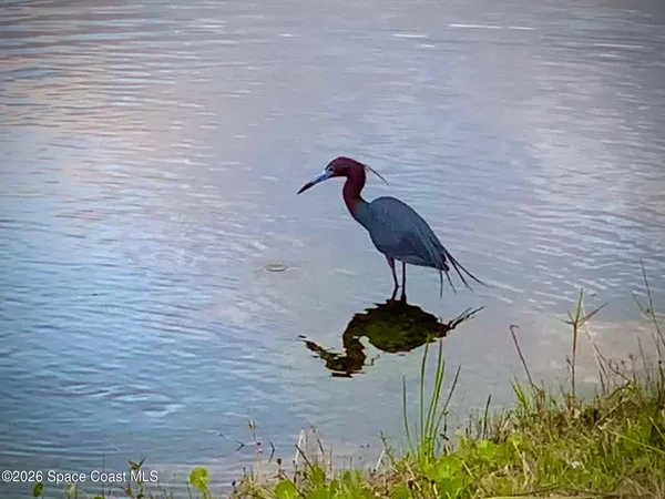 a front view of a house with a garden and trees