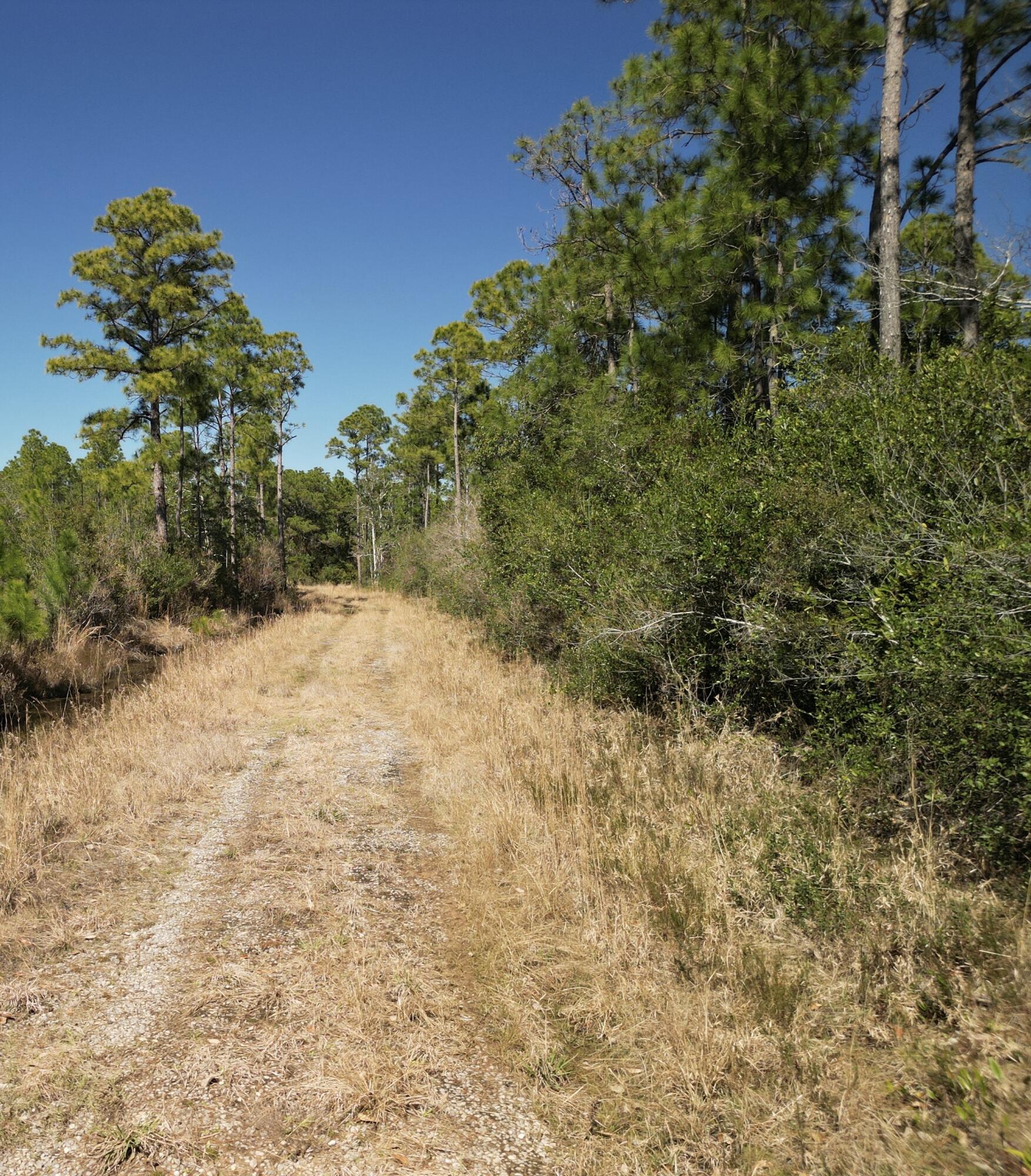0 Robinson Point Road Milton, FL 32583 - Photo 1 of 7 a view of a yard with trees