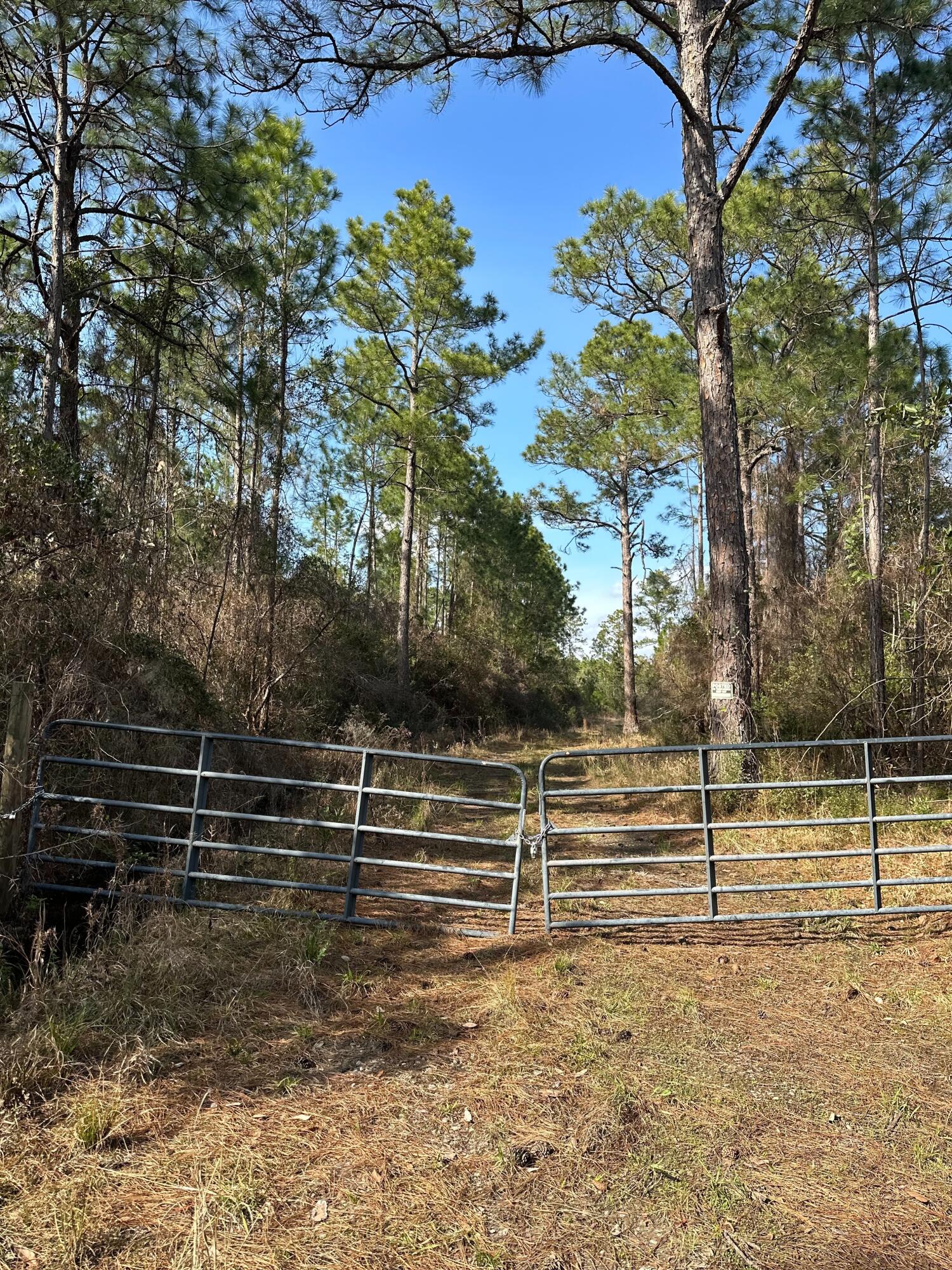 0 Robinson Point Road Milton, FL 32583 - Photo 7 of 7 a view of outdoor space with deck and tree