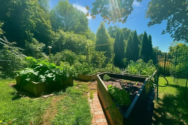 a view of a garden with plants