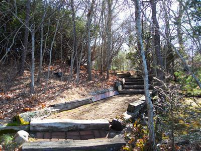 111 Goose Point Road Centerville, MA 02601 - Photo 18 of 21 a view of a backyard with large trees