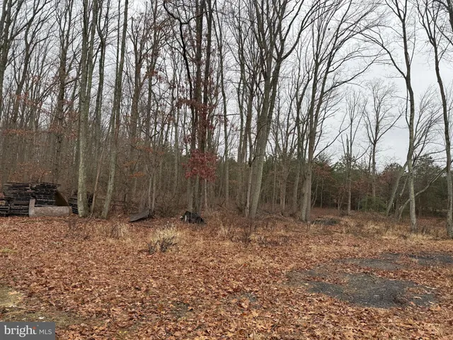 a view of outdoor space with trees