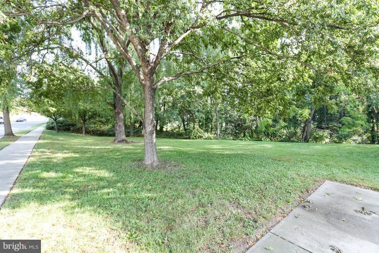 9031 Fieldchat Road Baltimore, MD 21236 - Photo 8 of 26 Large Side Yard