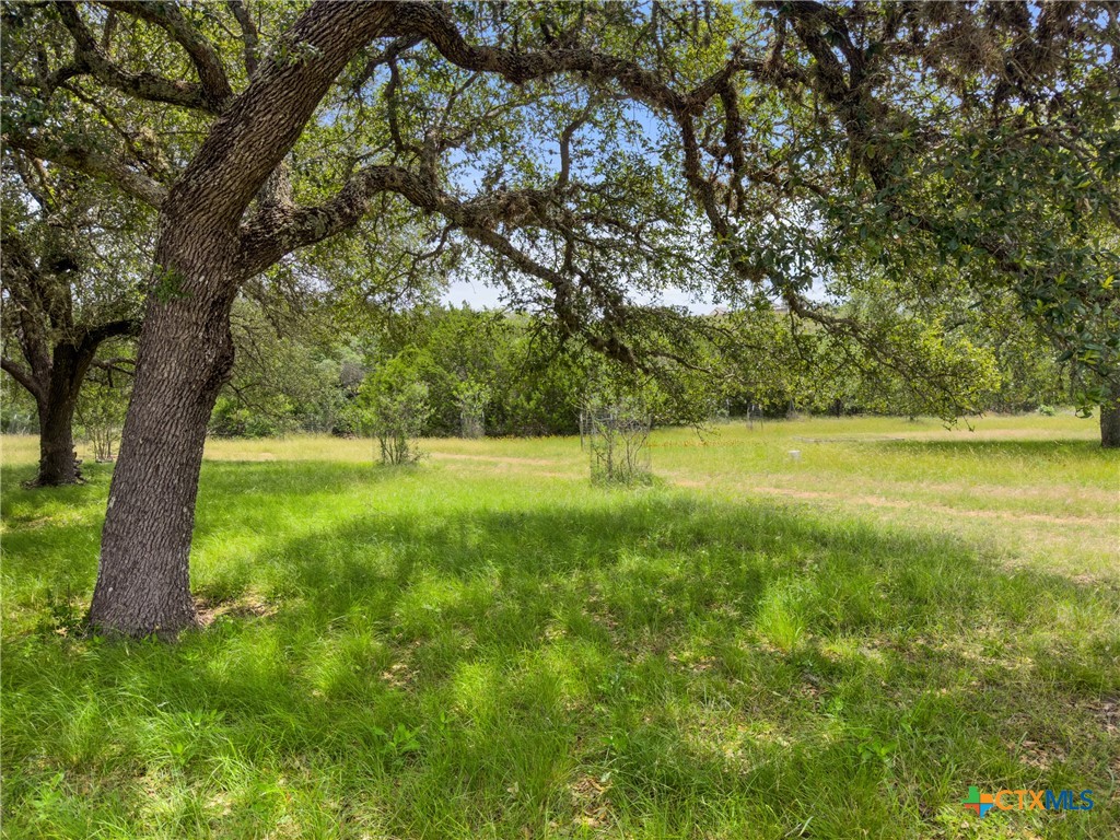 428 Summit Spring Lane Johnson City, TX 78636 - Photo 5 of 33