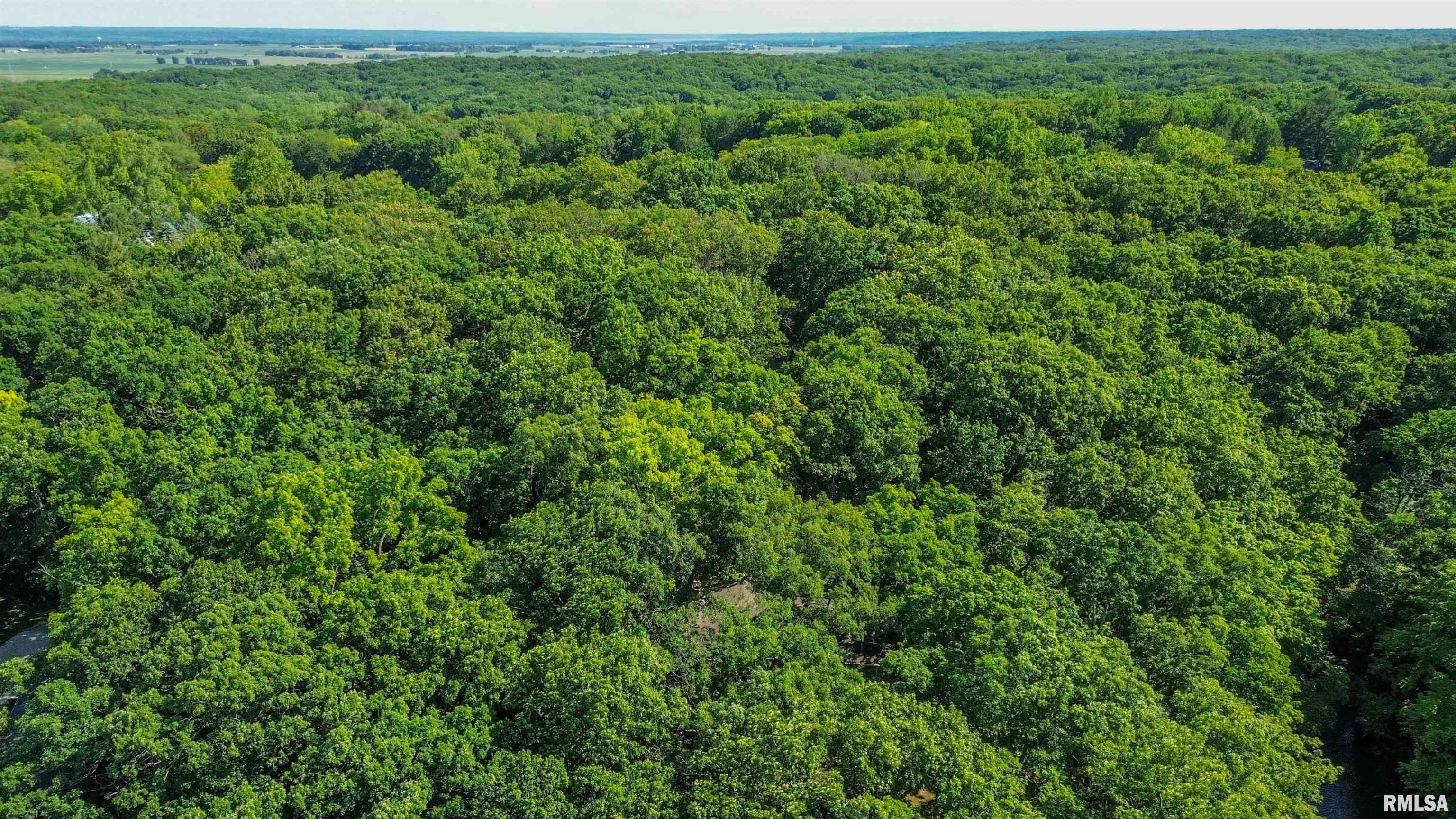 1323 East Truitt Road Chillicothe, IL 61523 - Photo 95 of 96