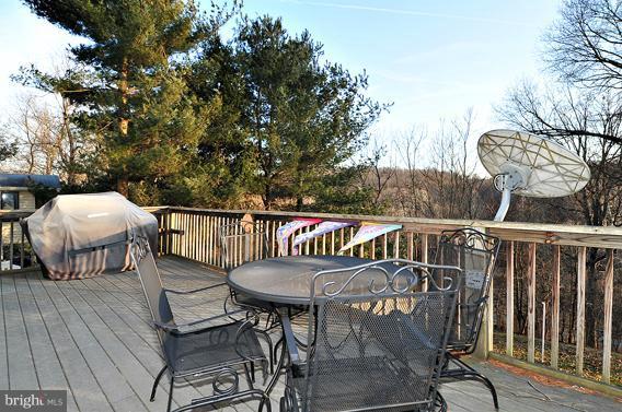 2039 Flag Marsh Road Mount Airy, MD 21771 - Photo 18 of 19 Exterior (Rear)