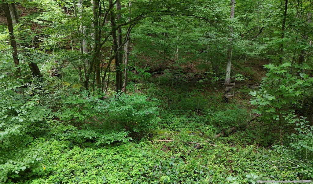 900 Hayes Valley Road Princeton, WV 24739 - Photo 22 of 36 Gallery Image 22