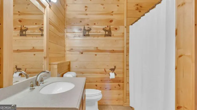 $3,200,000 | 661 Toccoa River Forest Lane, Mineral Bluff, GA 30559