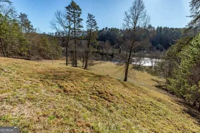 $3,200,000 | 661 Toccoa River Forest Lane, Mineral Bluff, GA 30559
