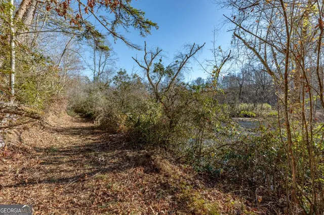 $3,200,000 | 661 Toccoa River Forest Lane, Mineral Bluff, GA 30559