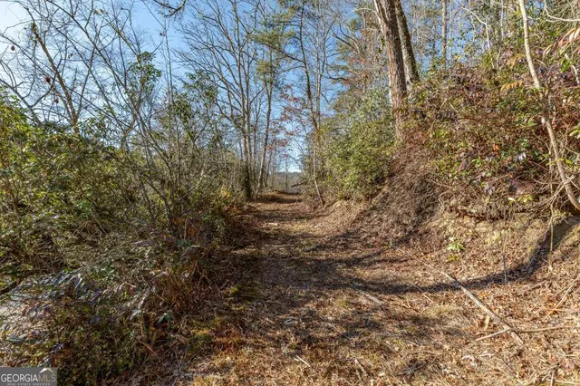 $3,200,000 | 661 Toccoa River Forest Lane, Mineral Bluff, GA 30559