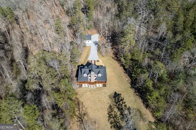 $3,200,000 | 661 Toccoa River Forest Lane, Mineral Bluff, GA 30559