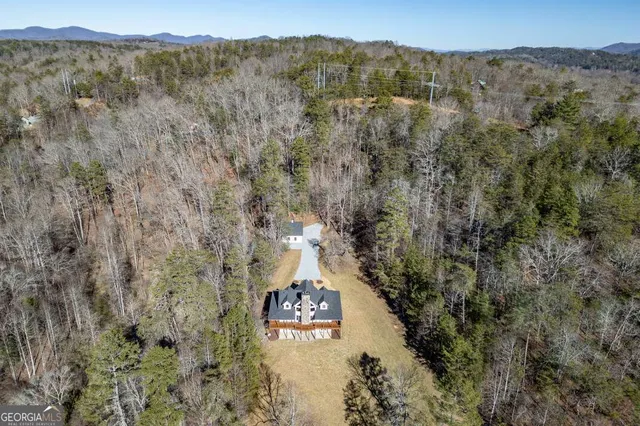 $3,200,000 | 661 Toccoa River Forest Lane, Mineral Bluff, GA 30559