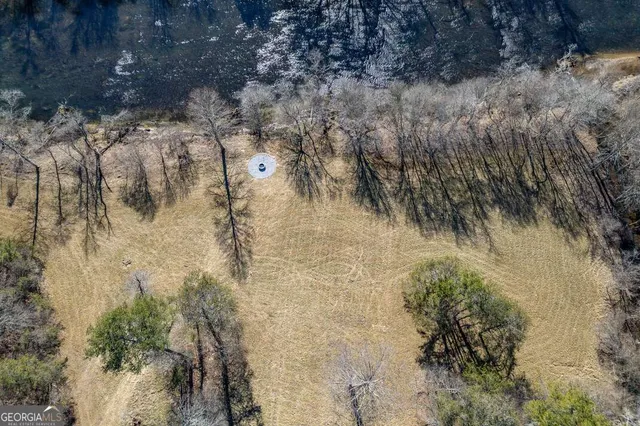 $3,200,000 | 661 Toccoa River Forest Lane, Mineral Bluff, GA 30559