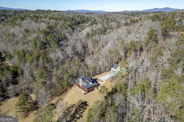 $3,200,000 | 661 Toccoa River Forest Lane, Mineral Bluff, GA 30559